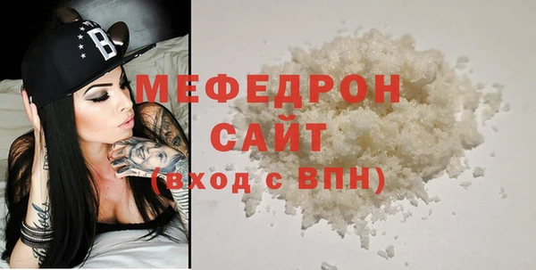 индика Каменногорск