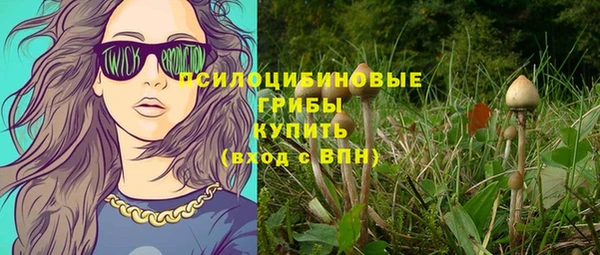 СК Зерноград