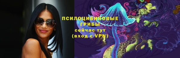 эйфоретик Инта