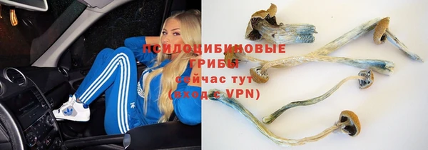 гашиш Инсар