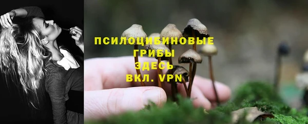 шишки Новосибирск