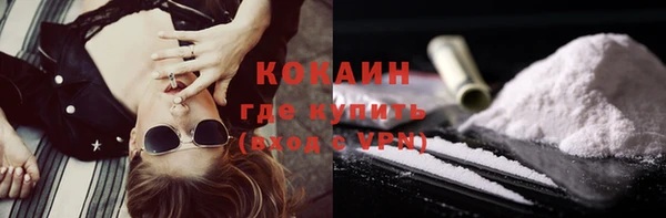 индика Калининец