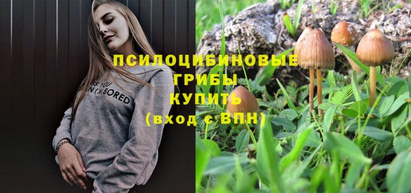 эйфоретик Инта