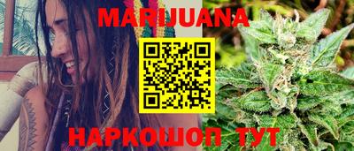 стафф Кингисепп