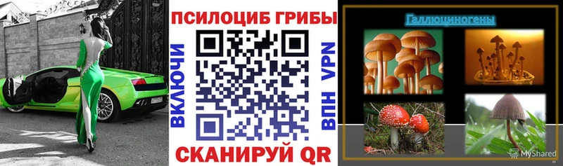 закладка Кубинка Галлюциногенные грибы Psilocybe