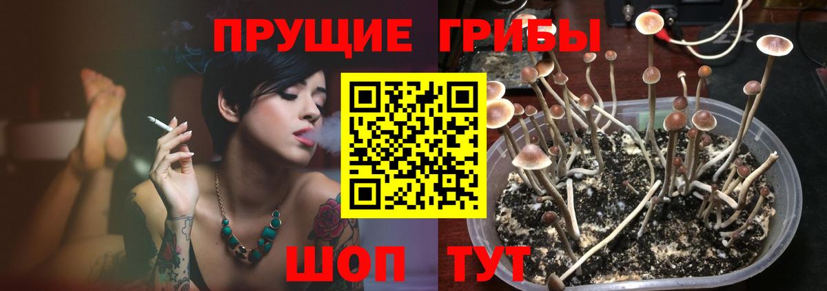 Псилоцибиновые грибы мухоморы Кубинка
